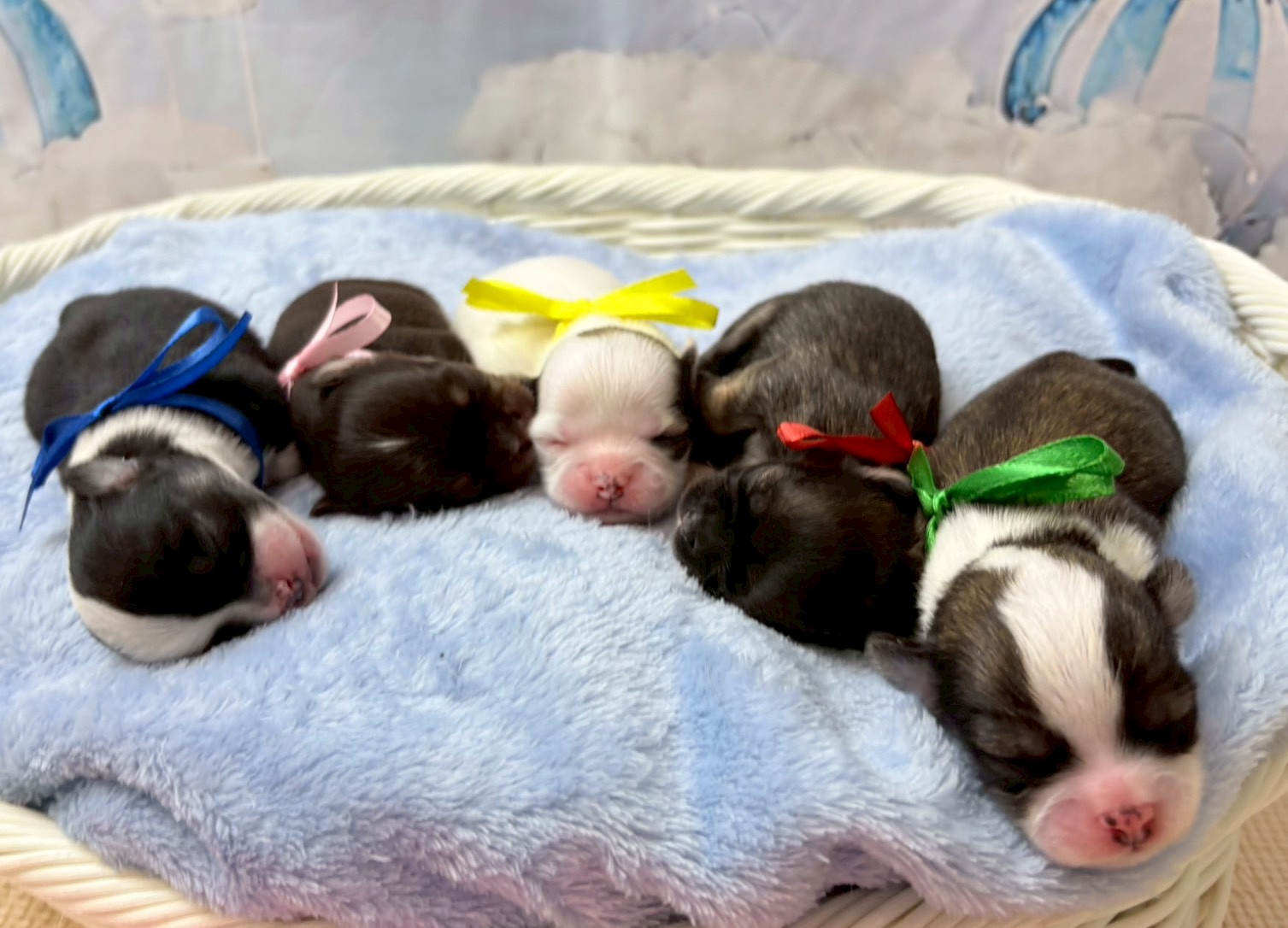 赤ちゃん写真1-3