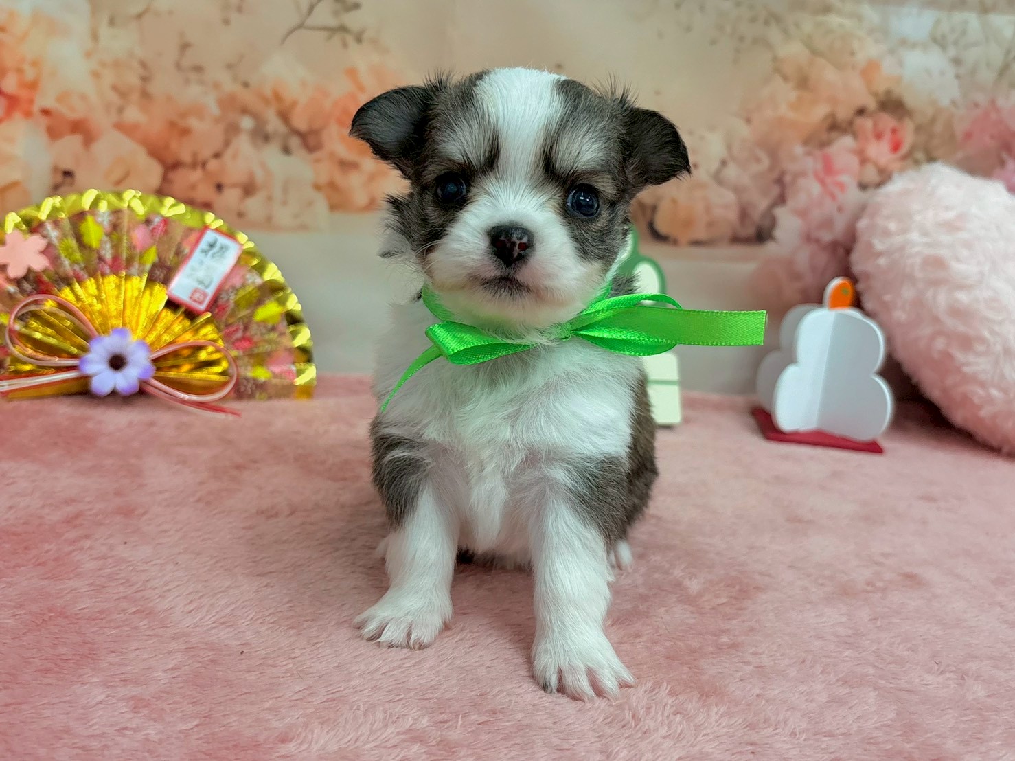 赤ちゃん写真2-1