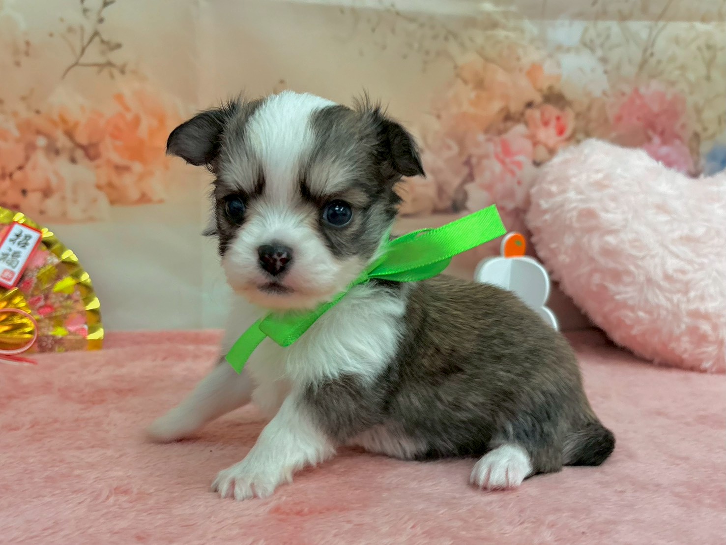 赤ちゃん写真2-2