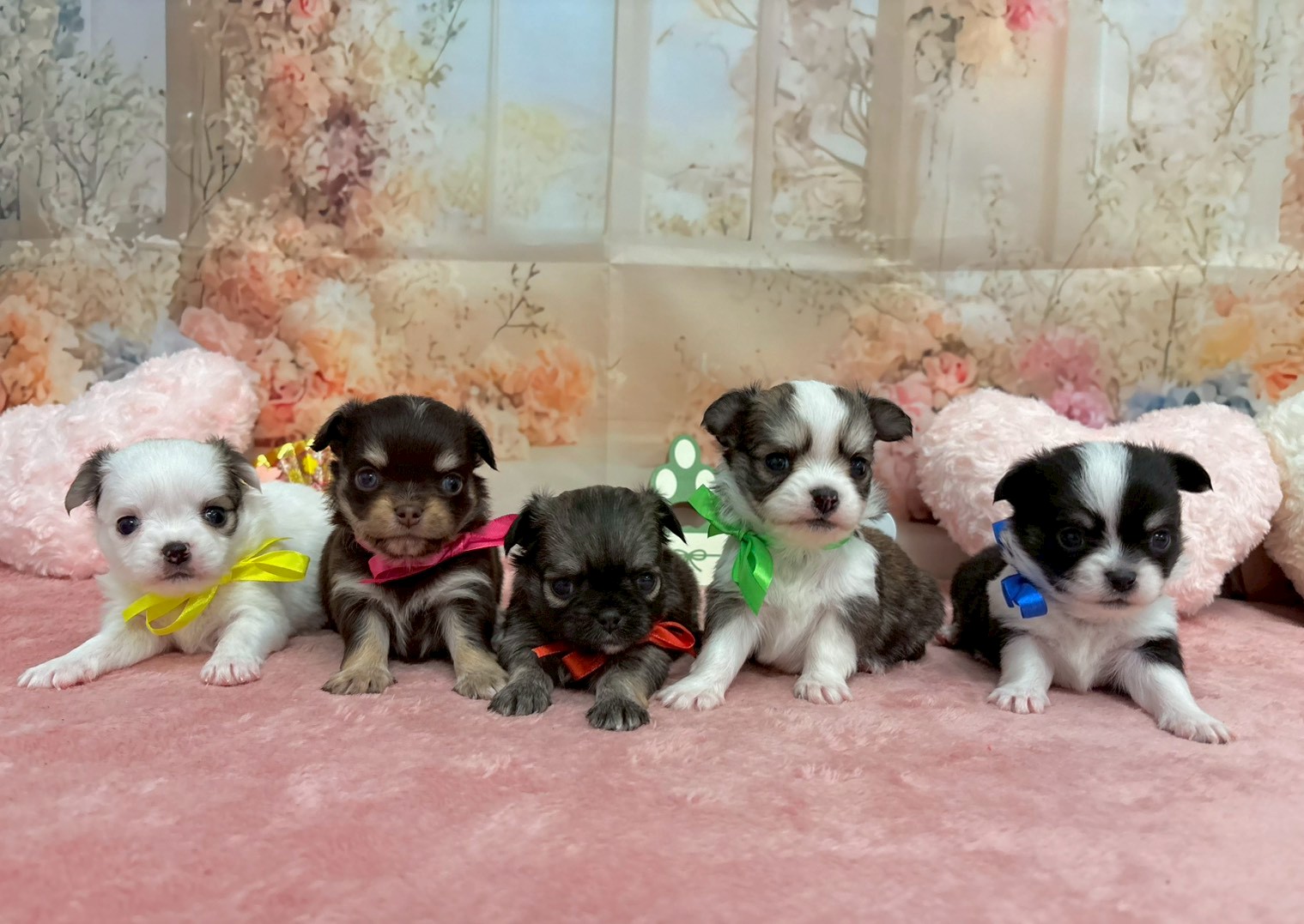 赤ちゃん写真2-3