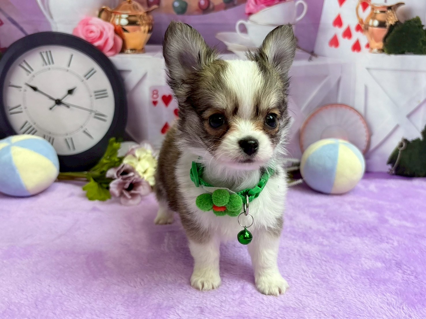 赤ちゃん写真3-1