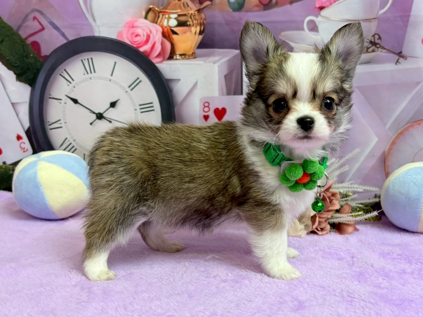 赤ちゃん写真3-2