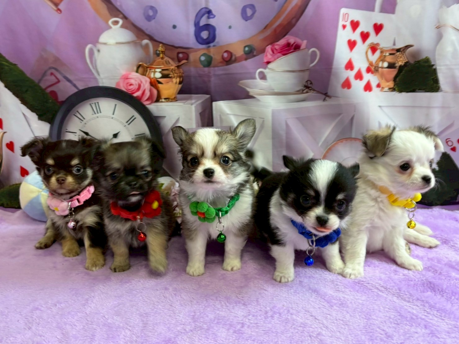 赤ちゃん写真3-3