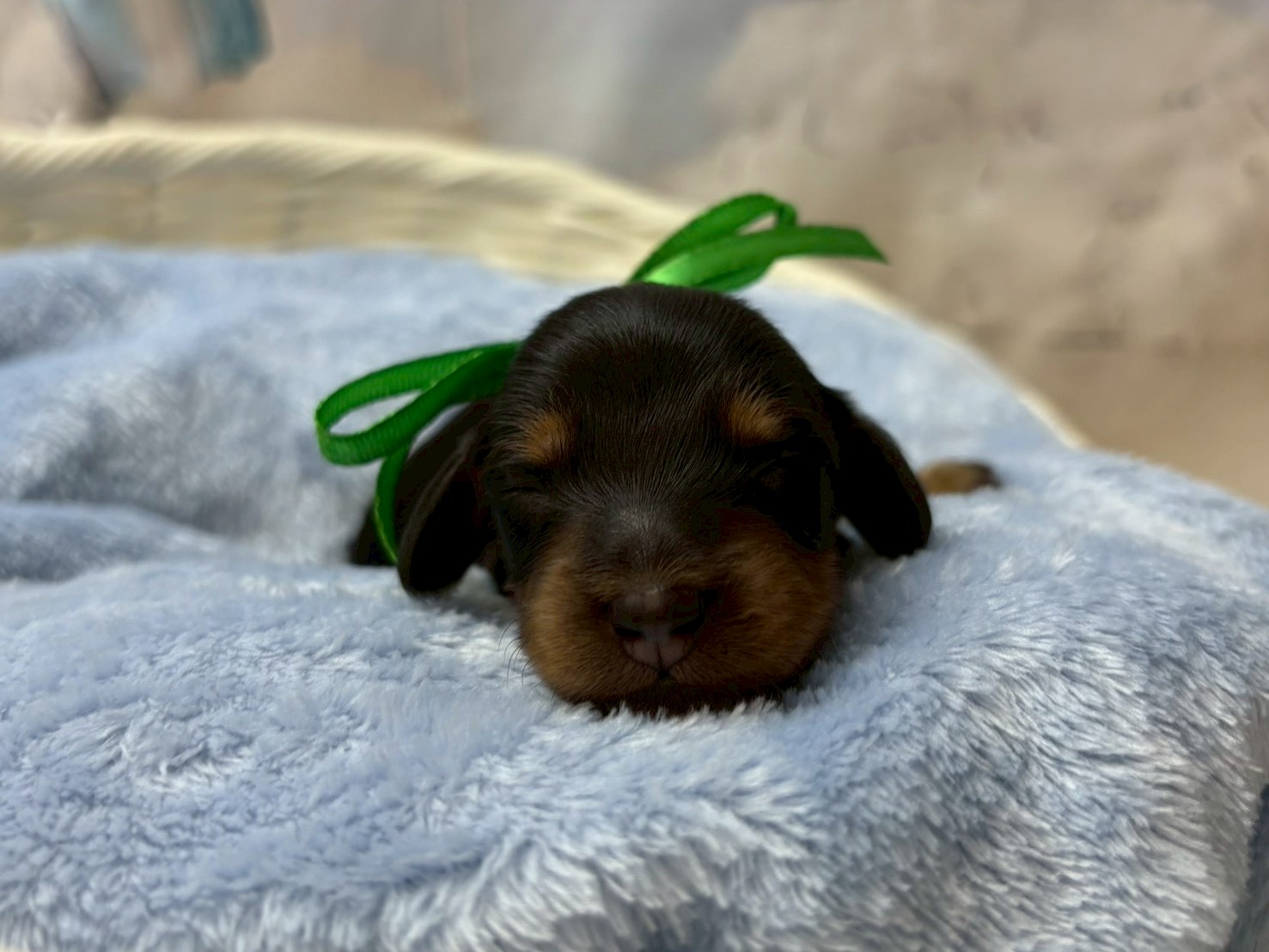 赤ちゃん写真1-1