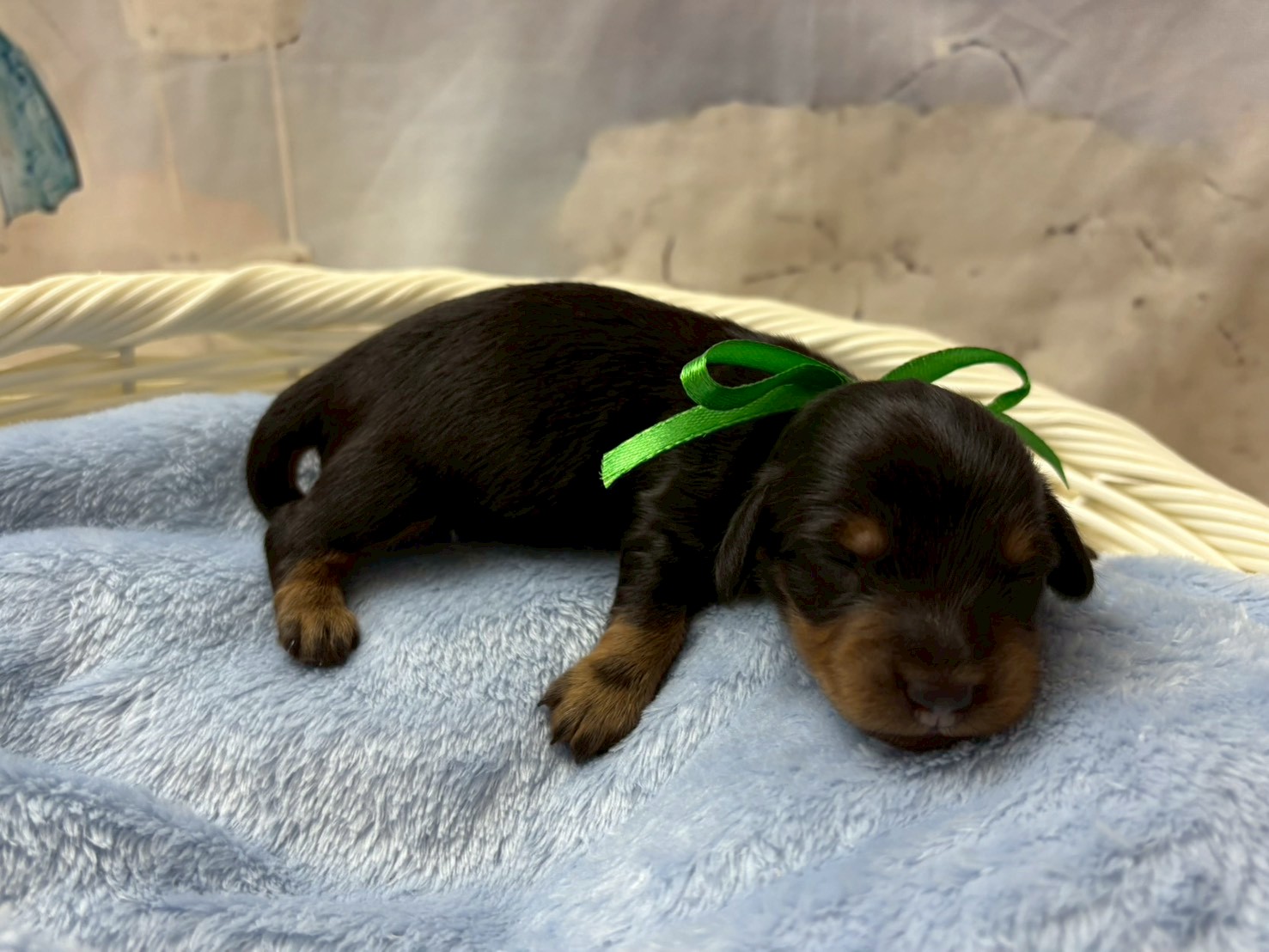 赤ちゃん写真1-2