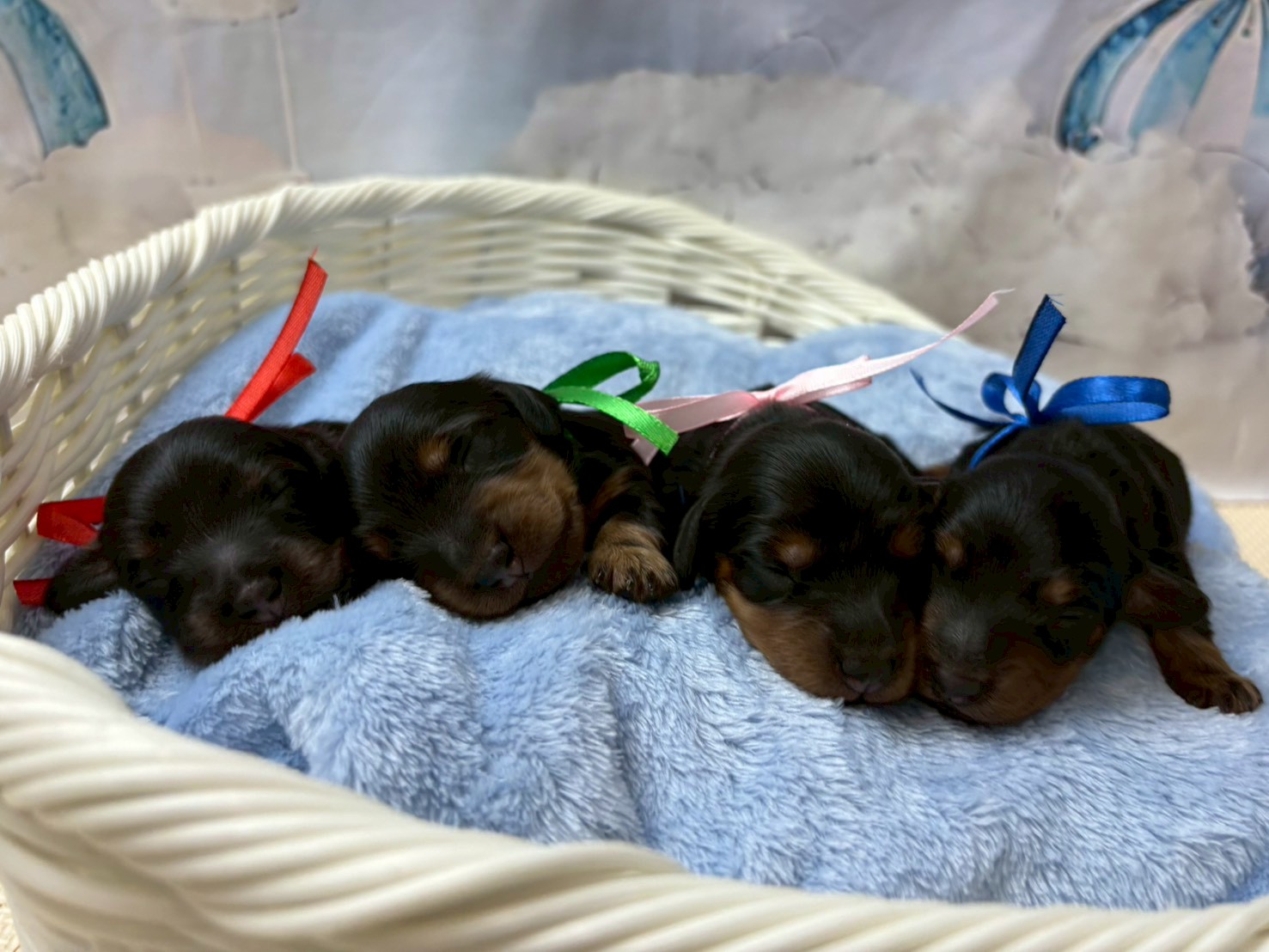 赤ちゃん写真1-3