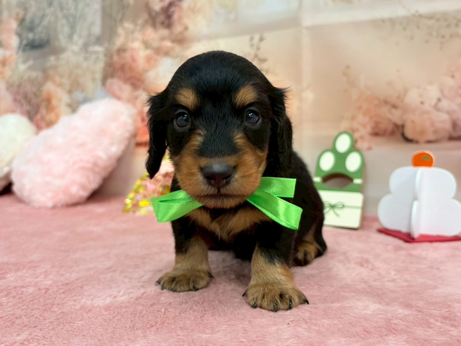 赤ちゃん写真2-1