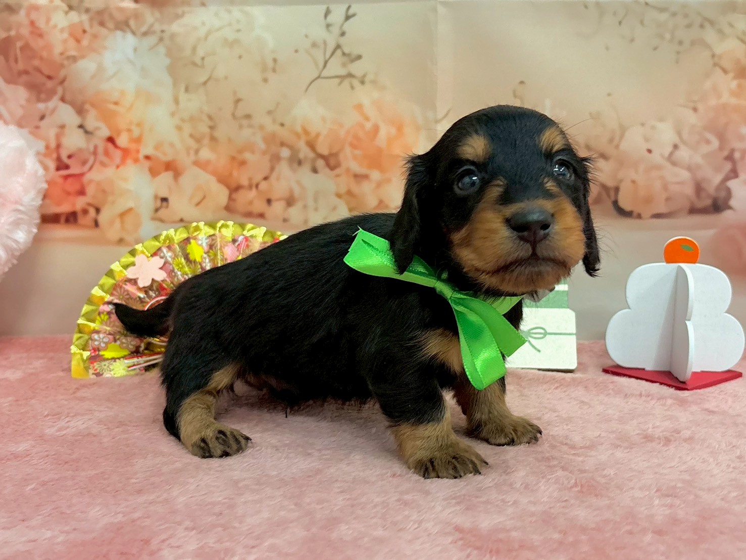 赤ちゃん写真2-2