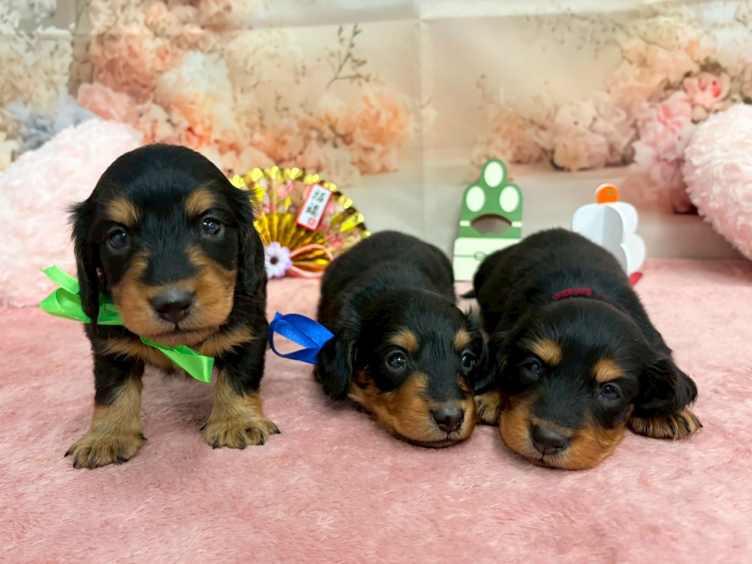 赤ちゃん写真2-3