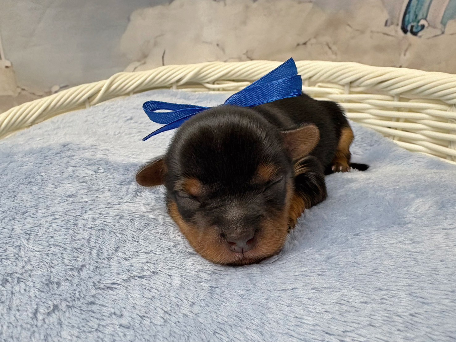 赤ちゃん写真1-1