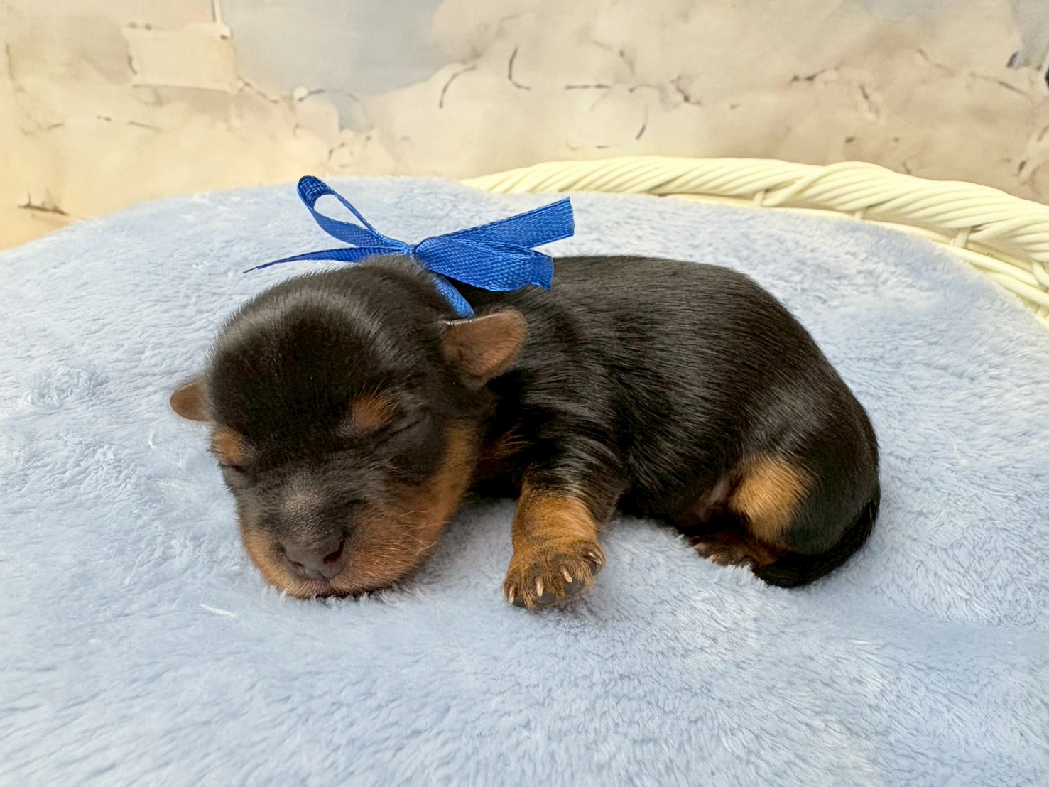 赤ちゃん写真1-2