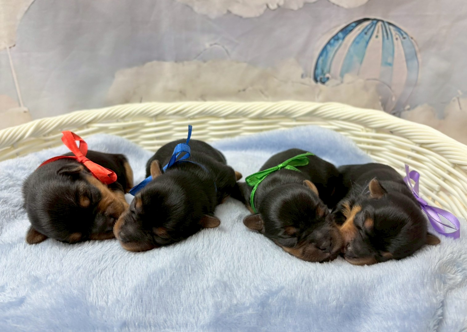 赤ちゃん写真1-3