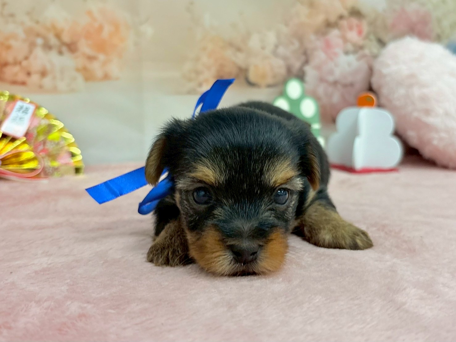 赤ちゃん写真2-1