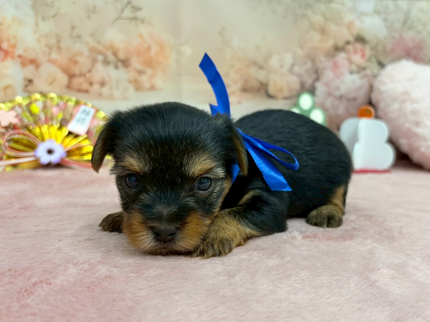 赤ちゃん写真2-2