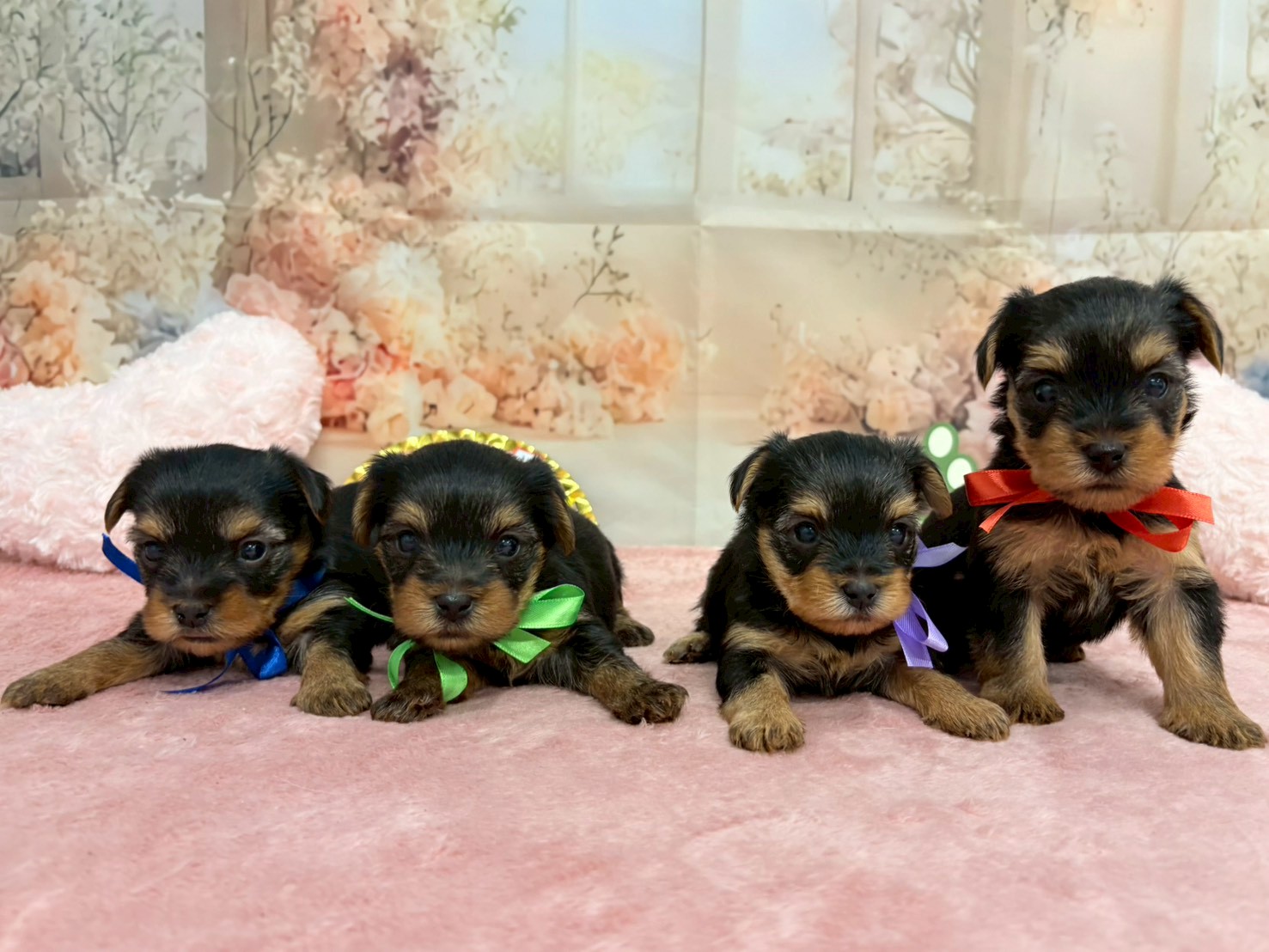 赤ちゃん写真2-3