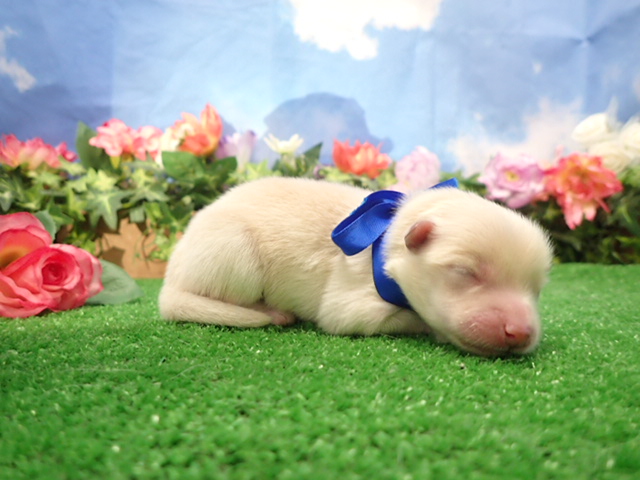 赤ちゃん写真1-2