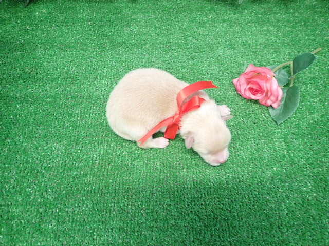 赤ちゃん写真1-3