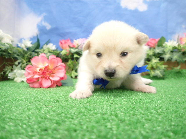 赤ちゃん写真2-1