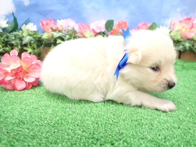 赤ちゃん写真2-2