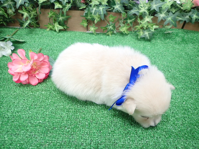 赤ちゃん写真2-3