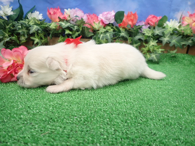 赤ちゃん写真2-2