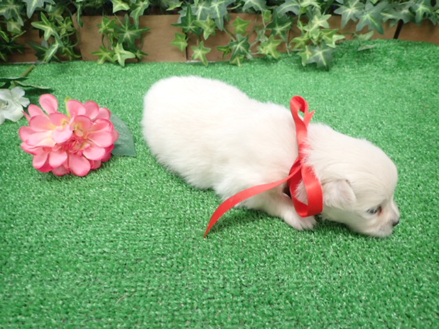 赤ちゃん写真2-3