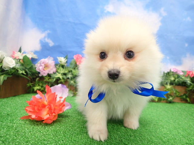 赤ちゃん写真3-1