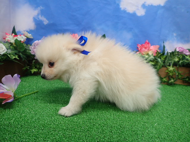 赤ちゃん写真3-2