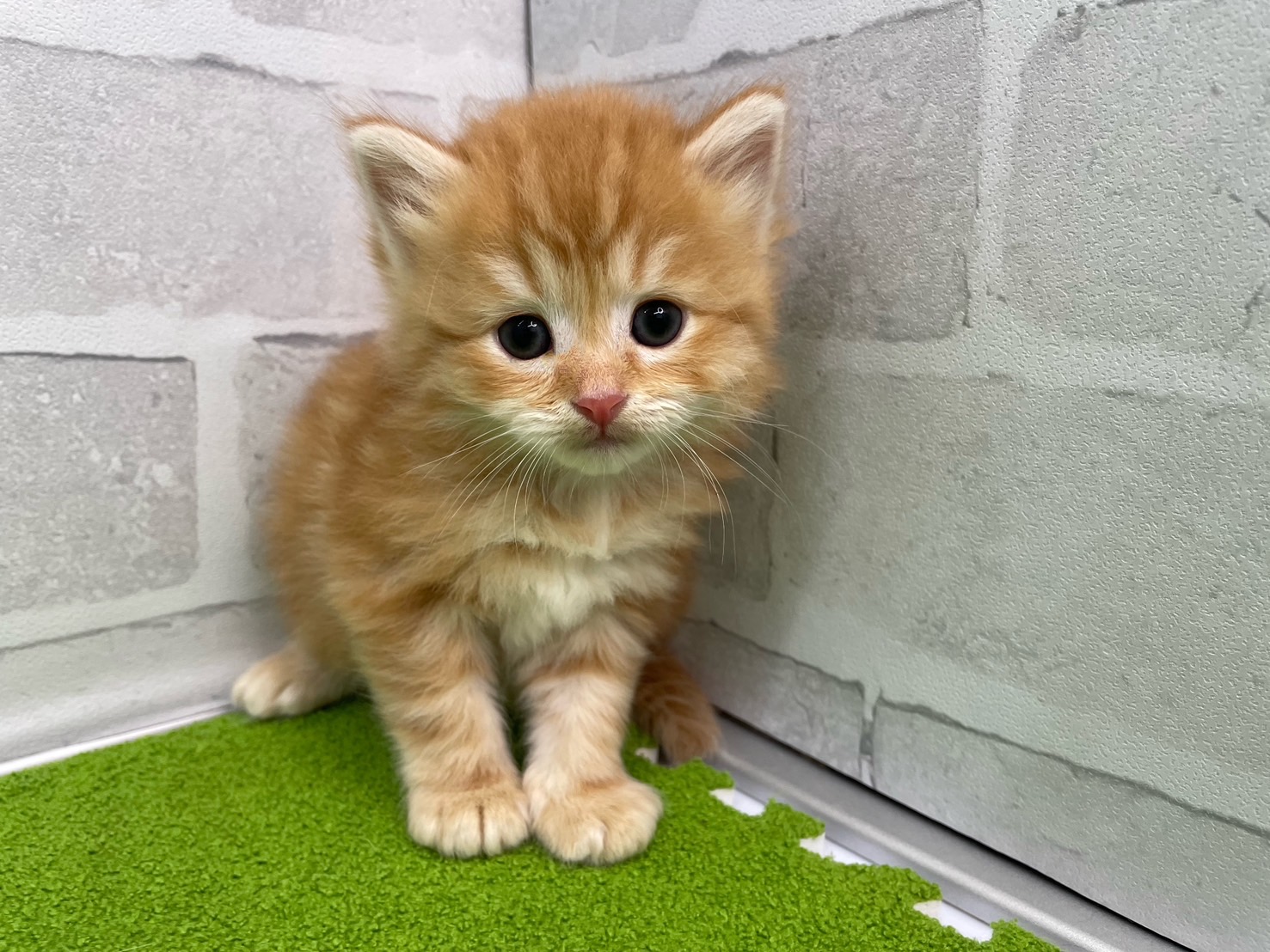 赤ちゃん写真2-1