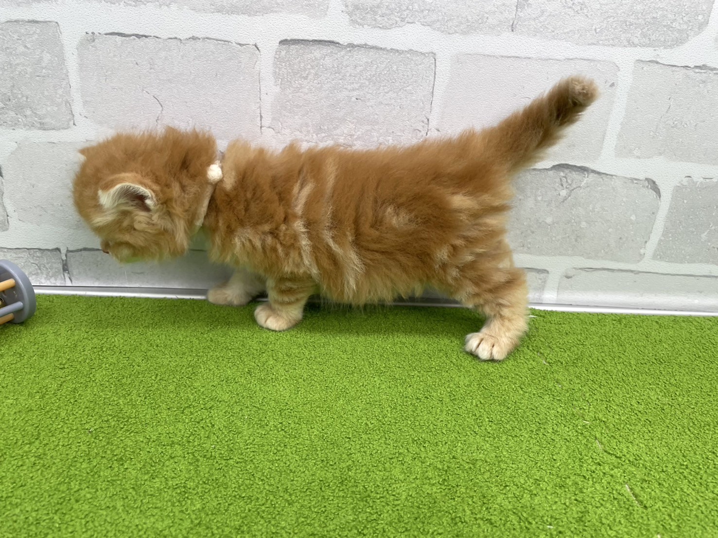 赤ちゃん写真2-2