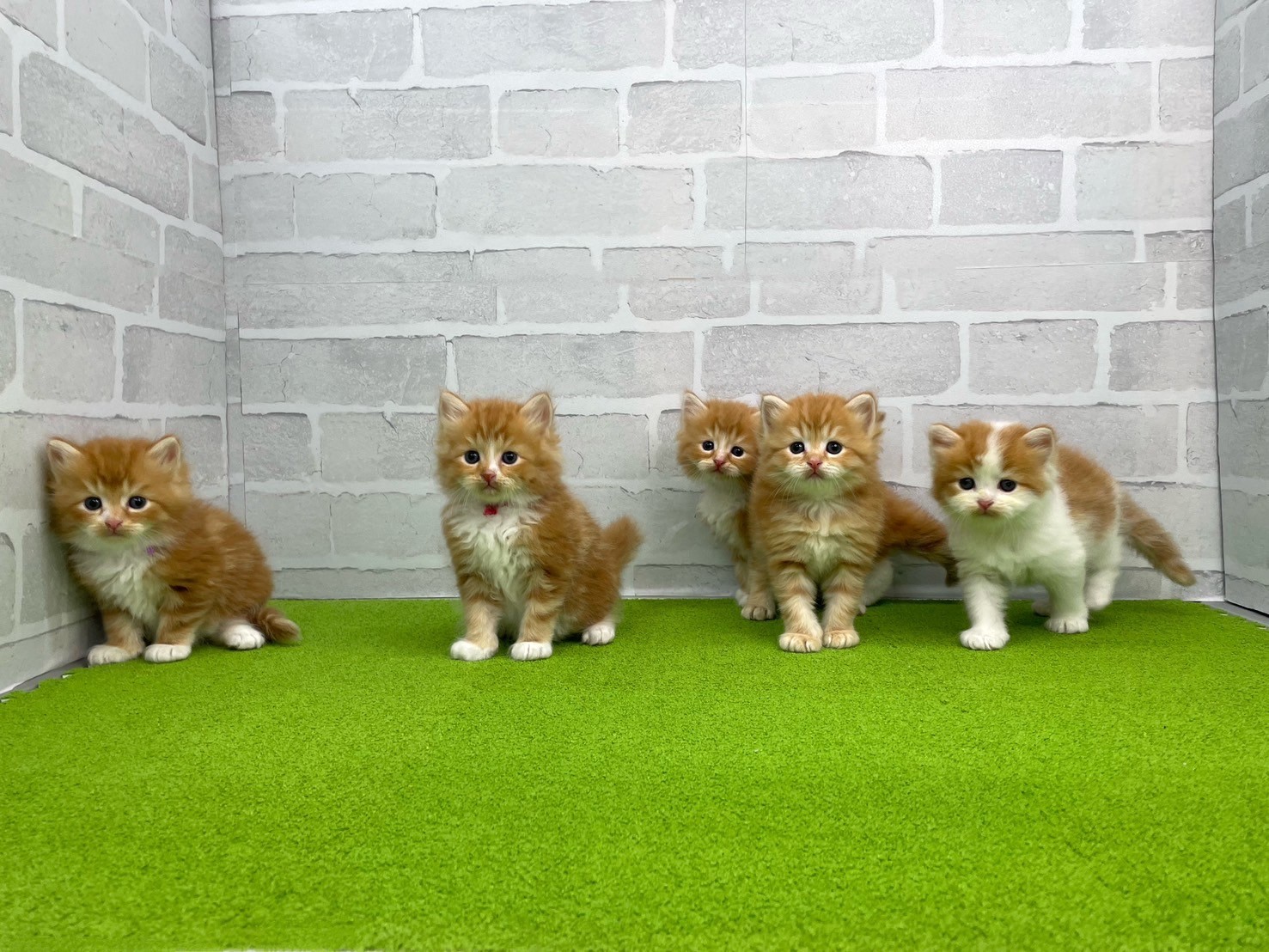 赤ちゃん写真2-3