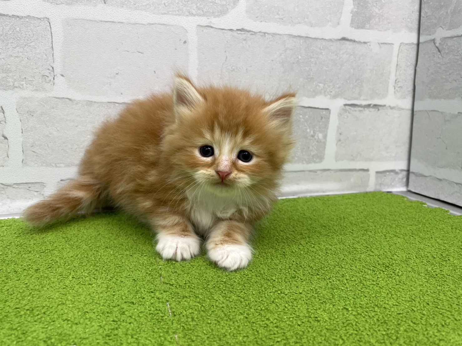 赤ちゃん写真2-1