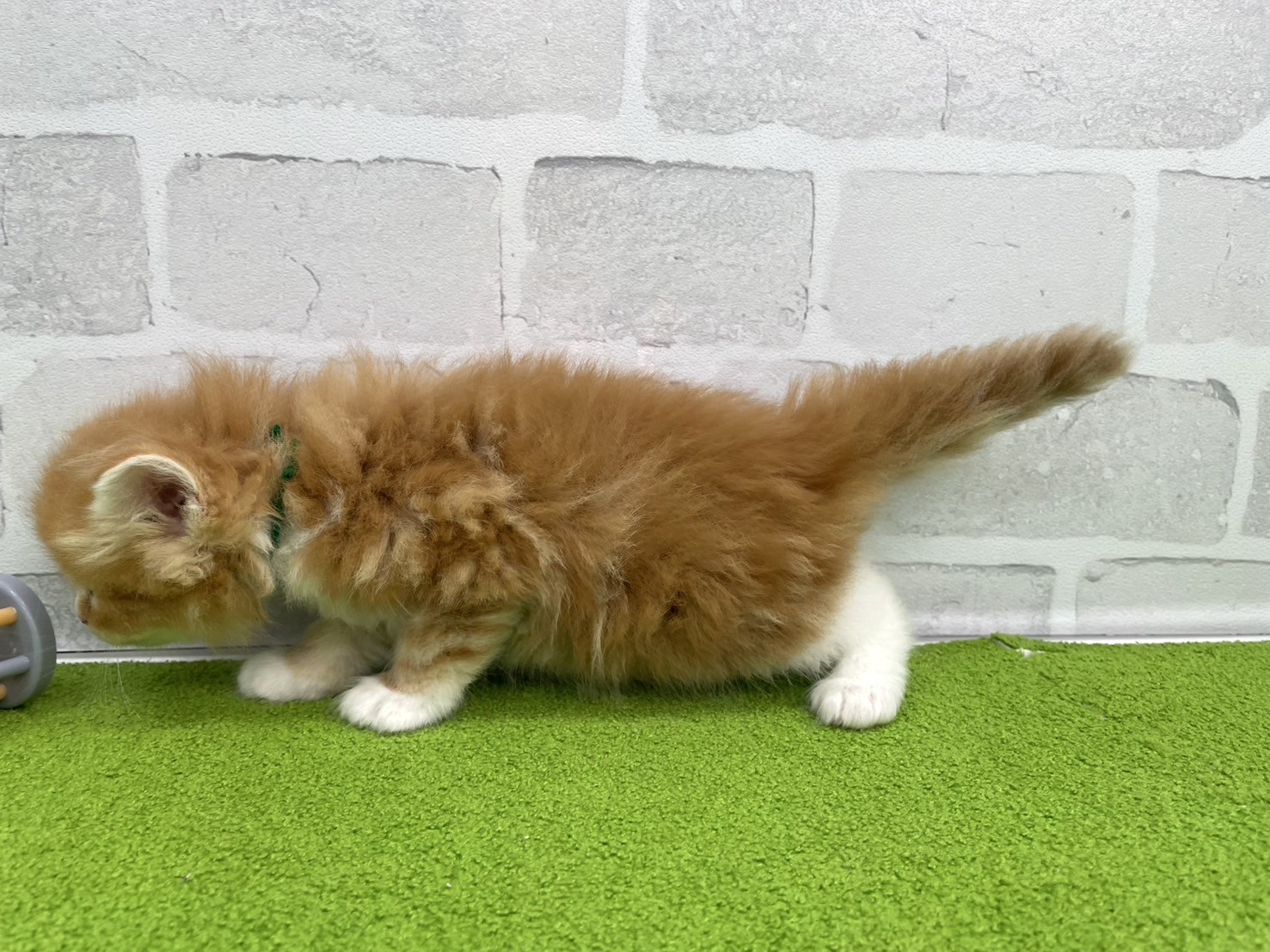 赤ちゃん写真2-2