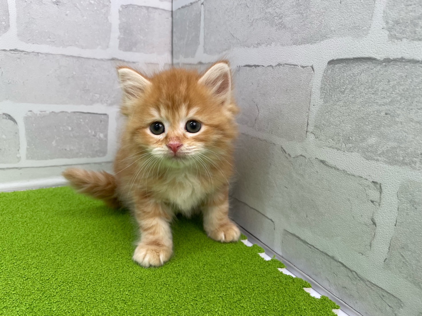 赤ちゃん写真3-1