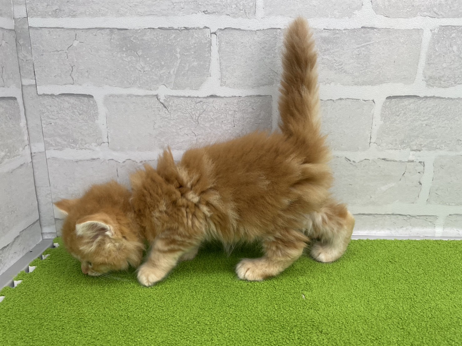 赤ちゃん写真3-2