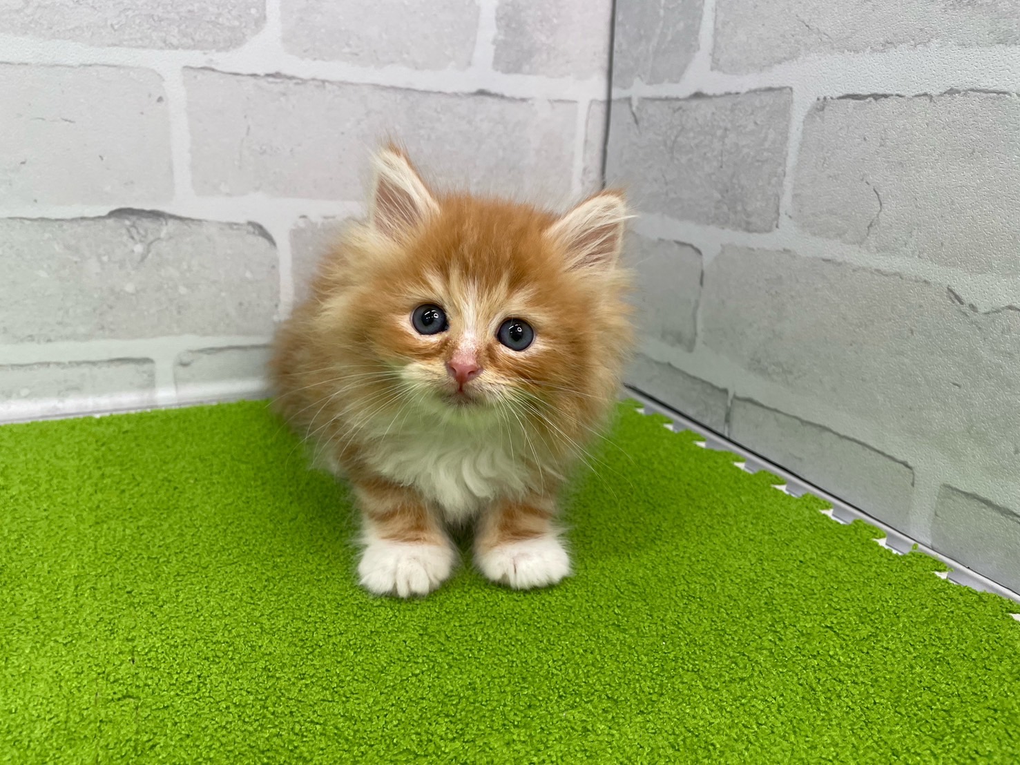 赤ちゃん写真3-1