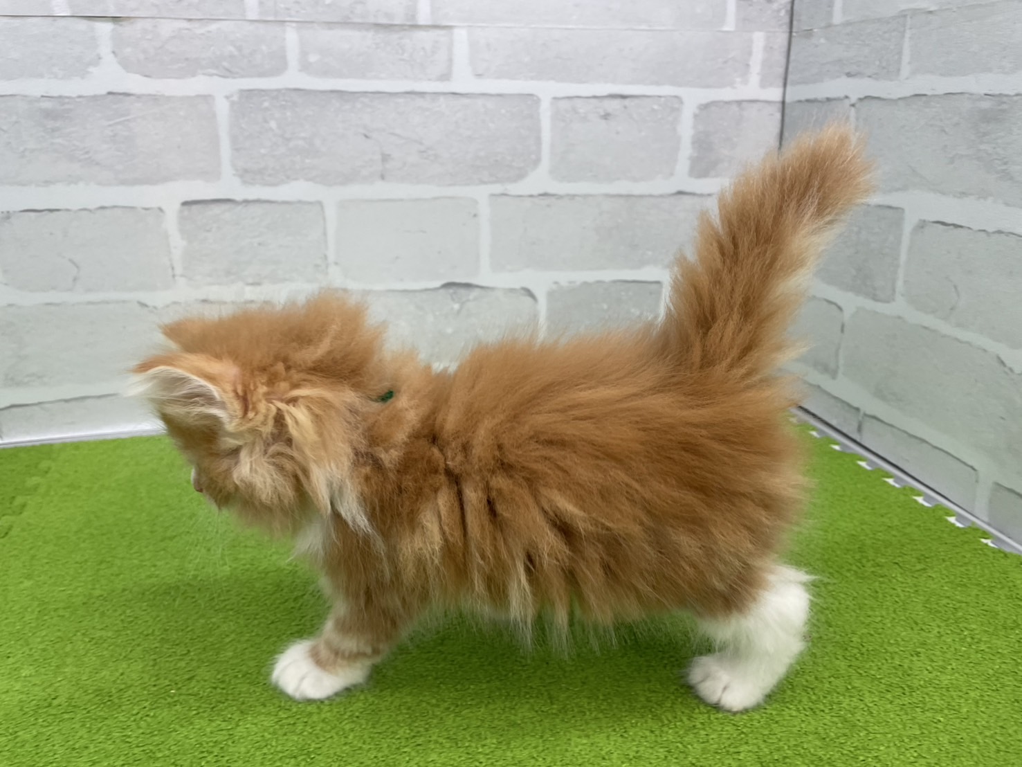 赤ちゃん写真3-2