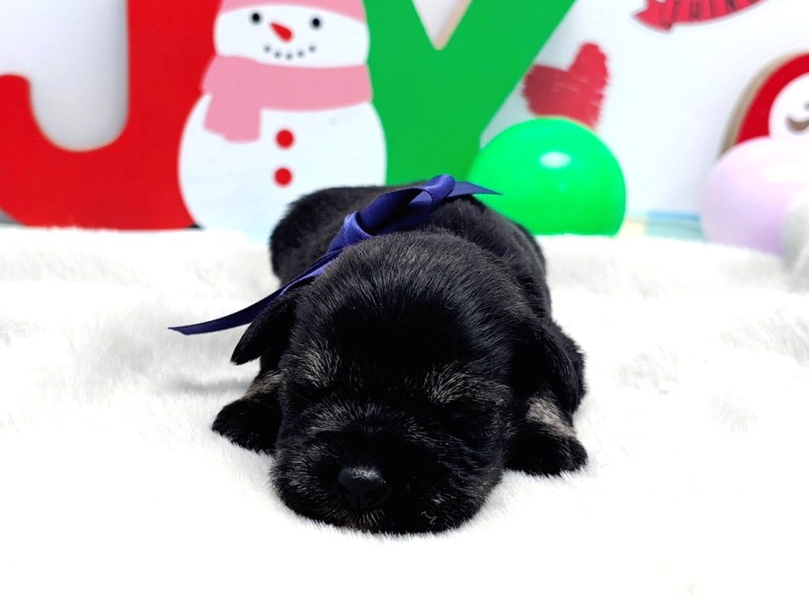 赤ちゃん写真1-1