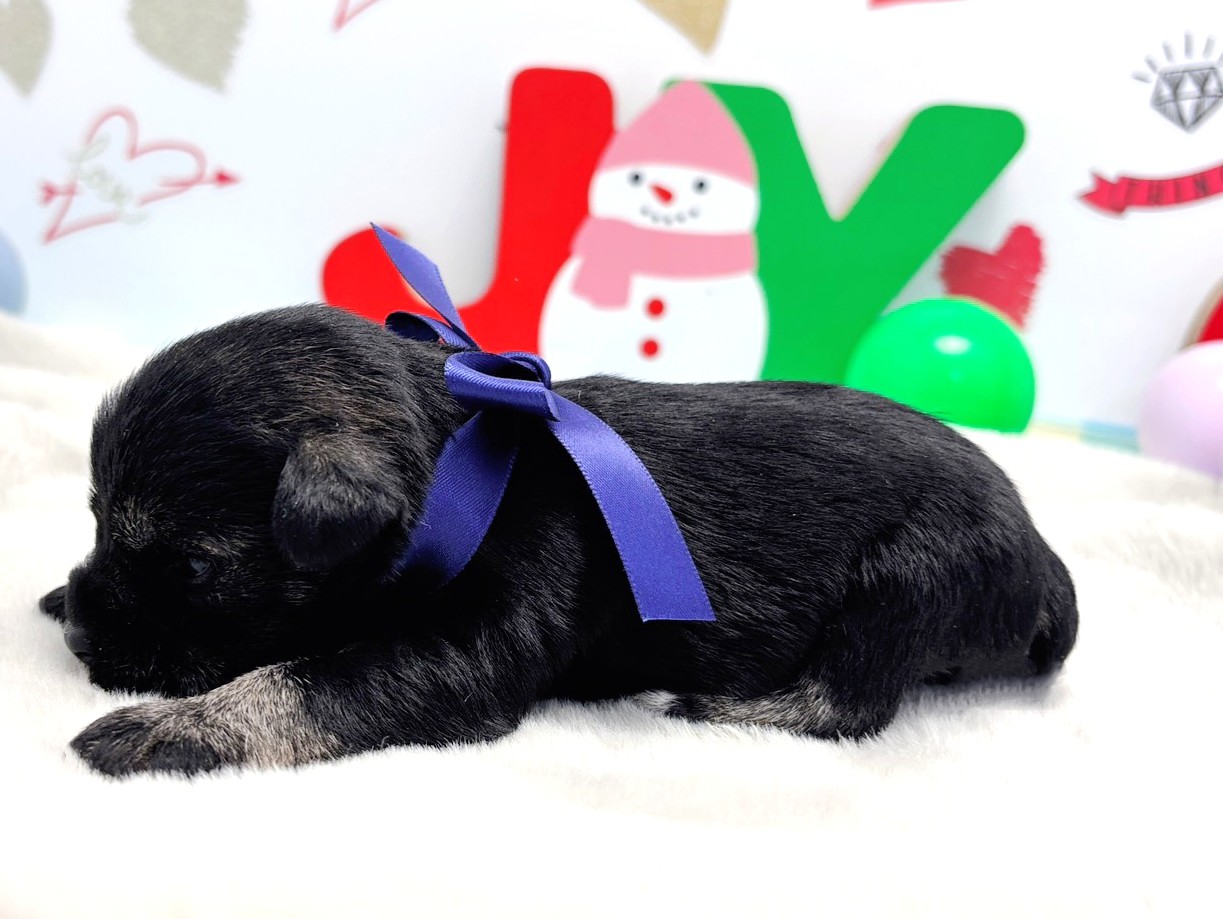 赤ちゃん写真1-2