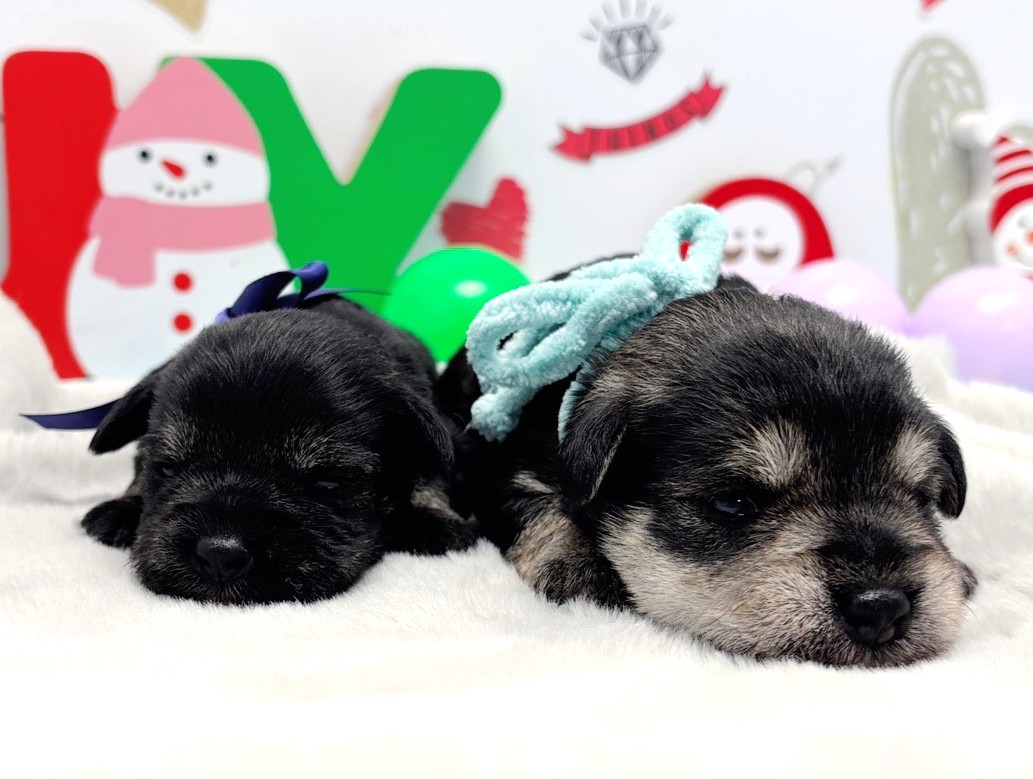 赤ちゃん写真1-3