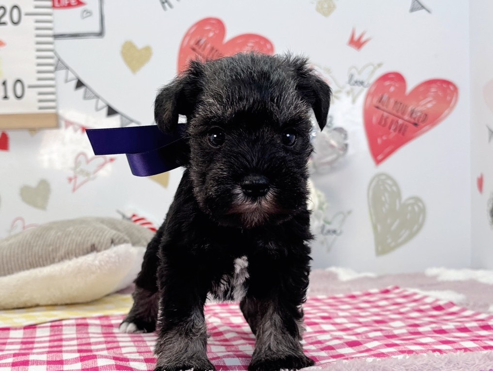 赤ちゃん写真2-1