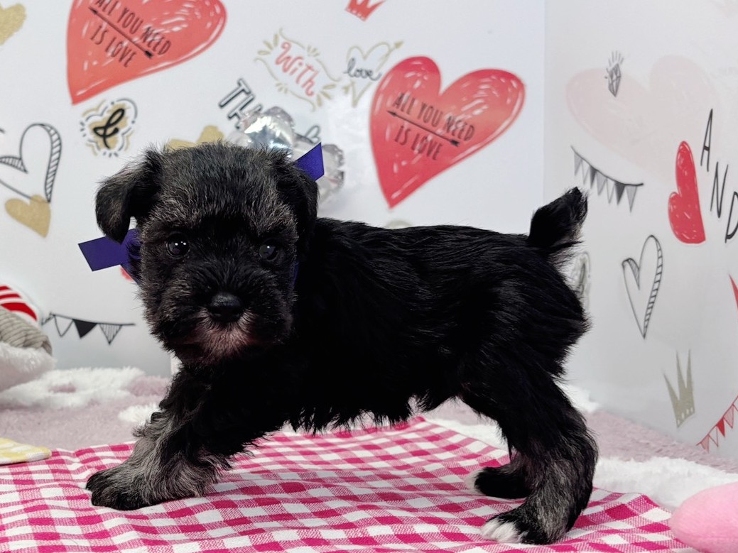 赤ちゃん写真2-2