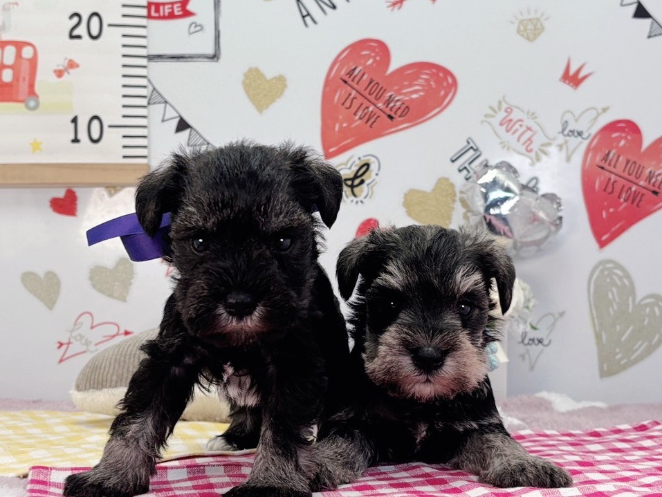 赤ちゃん写真2-3