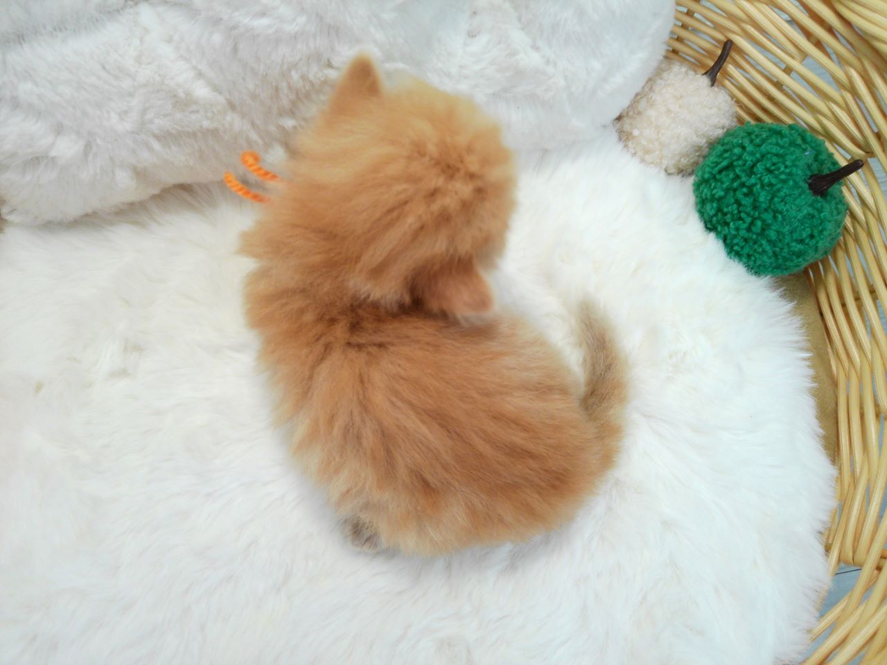 赤ちゃん写真1-3