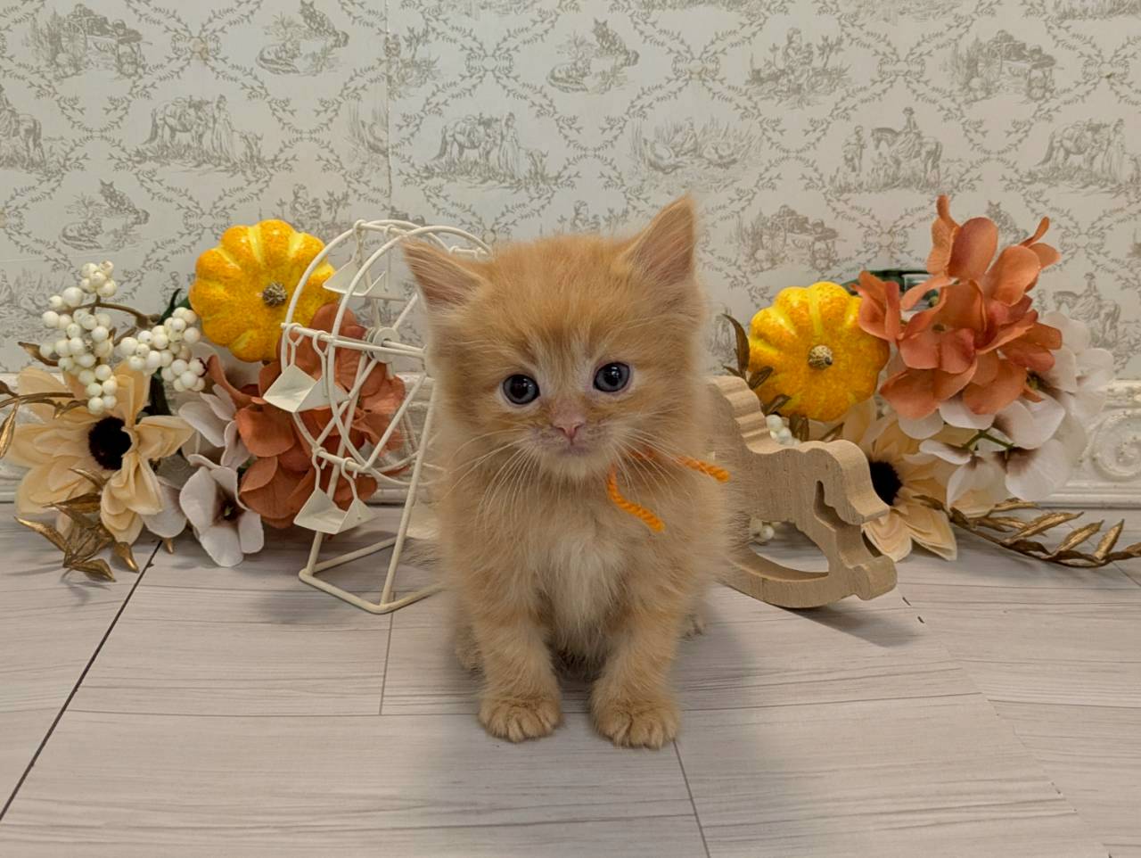 赤ちゃん写真2-1