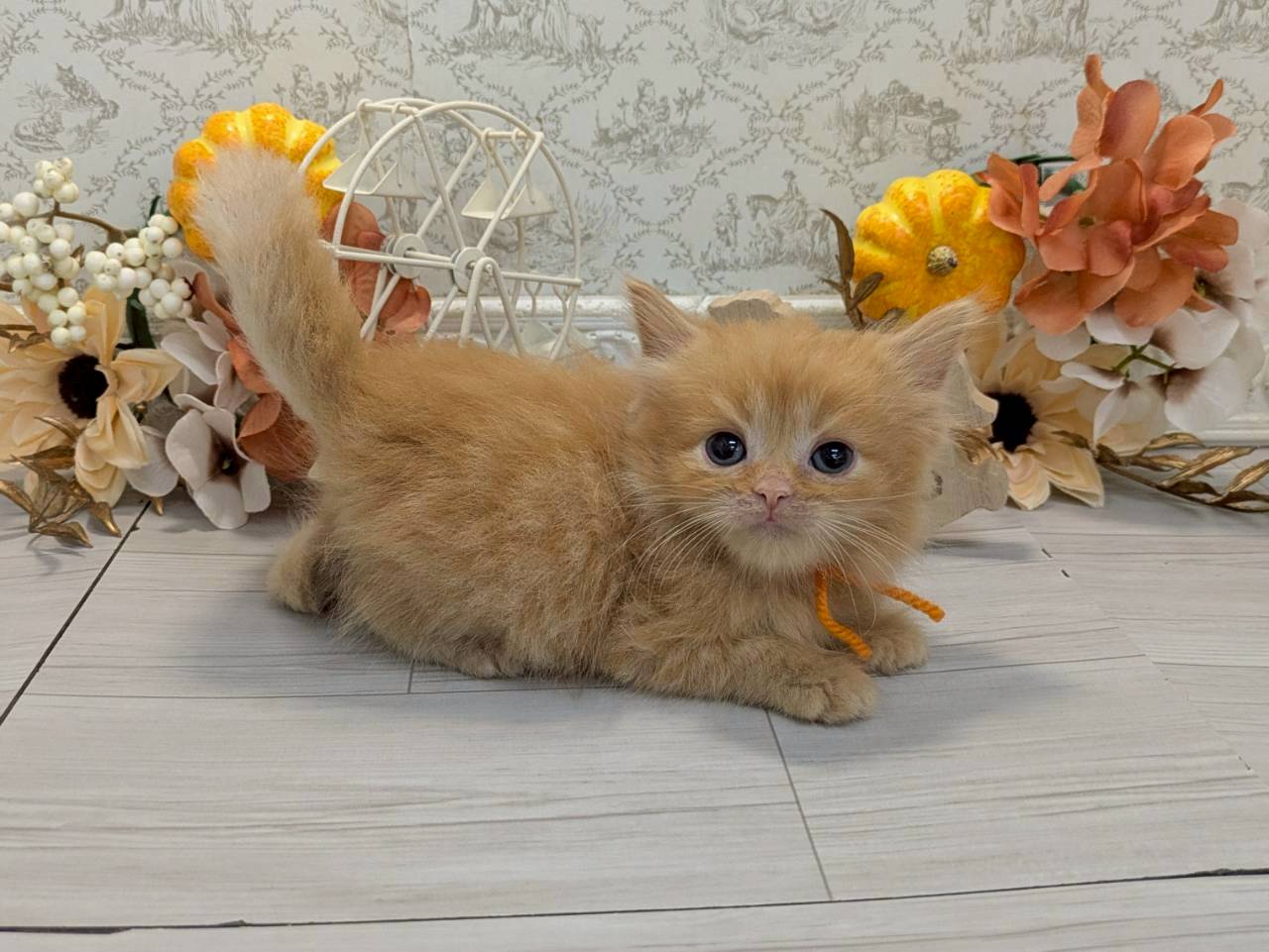 赤ちゃん写真2-2