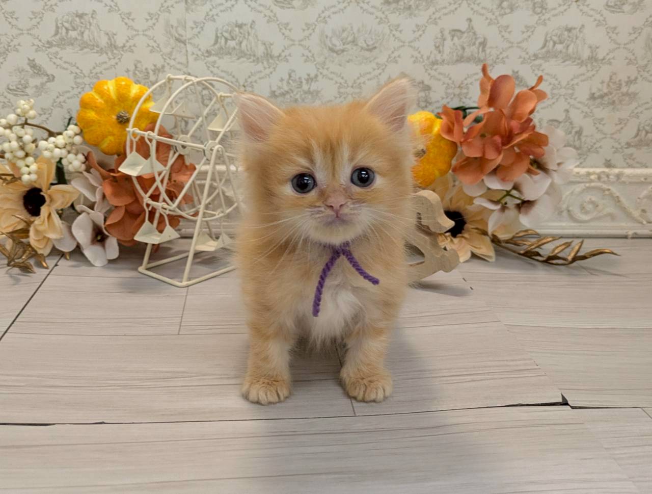 赤ちゃん写真2-1