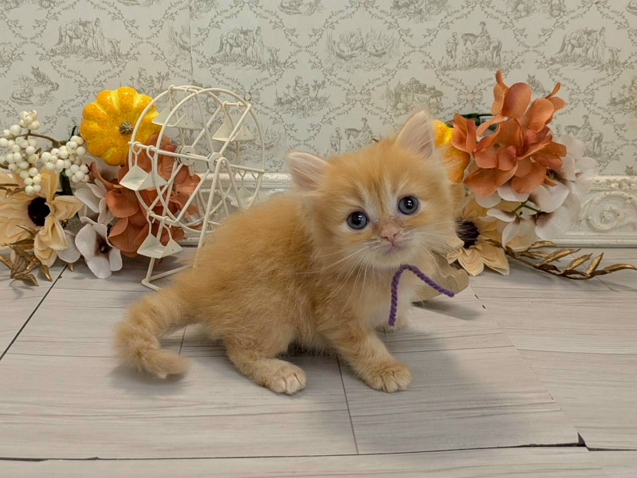 赤ちゃん写真2-2