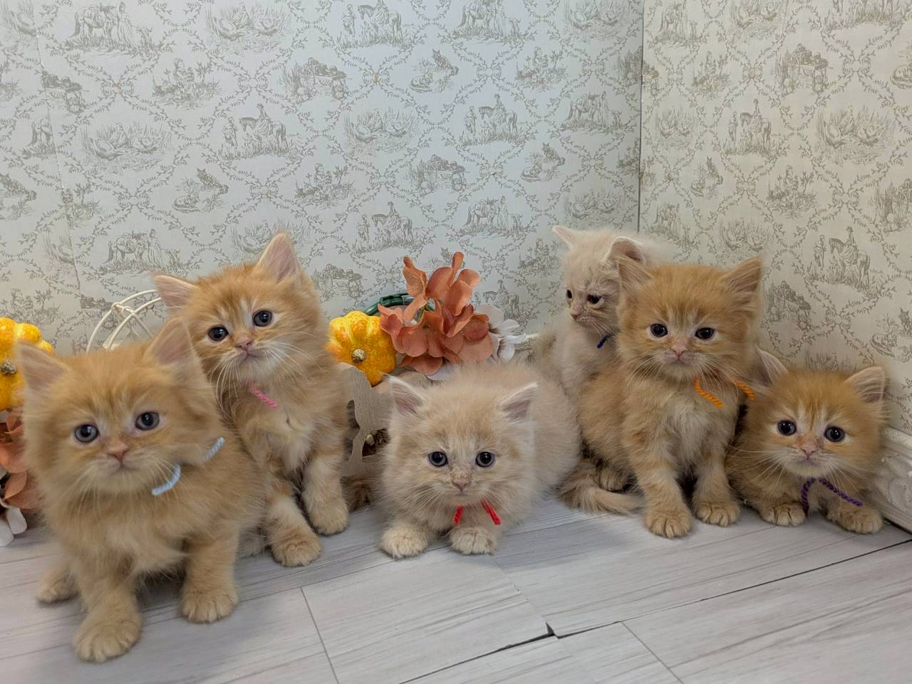 赤ちゃん写真2-3