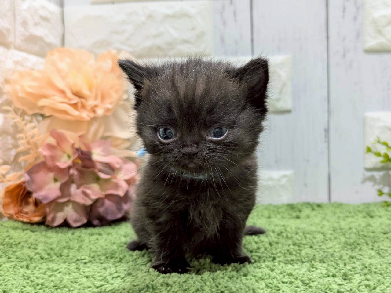赤ちゃん写真2-1
